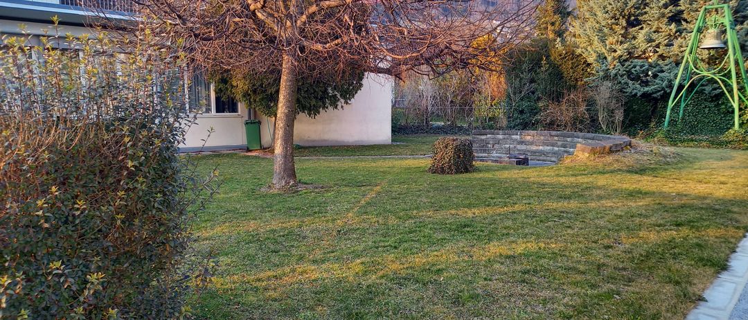 Ein Haus mit einem großen Baum davor, einem kleinen Garten mit Rasen und einem kleinen Pfad. Es gibt einen grünen Mülleimer in der Nähe des Hauses.