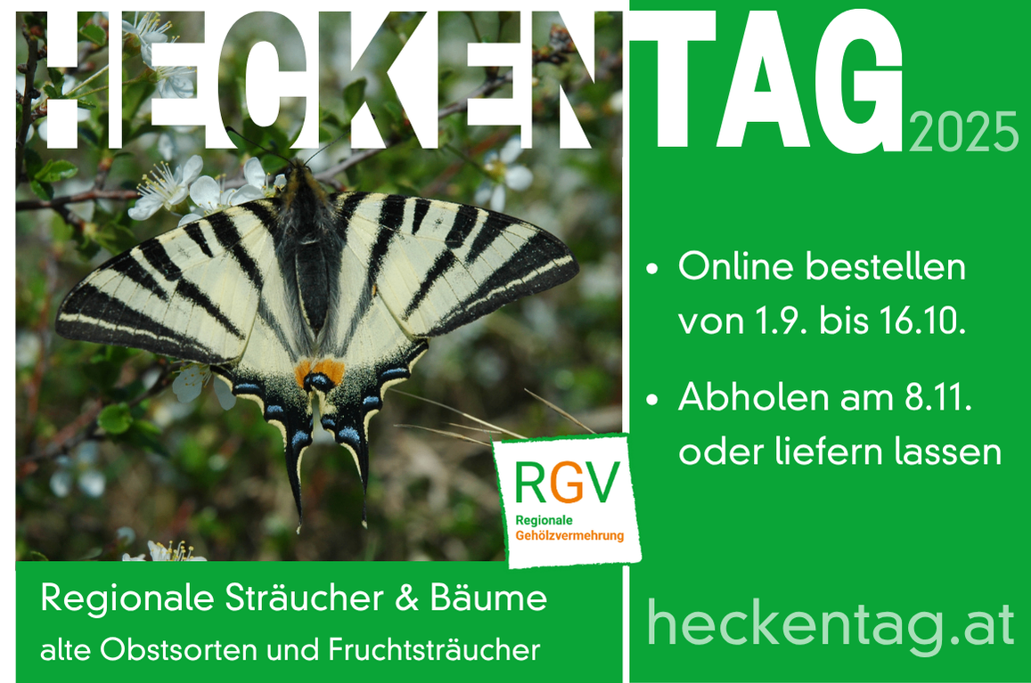 Plakat mit einer Schmetterling und dem Text 'Heckentag'. Online bestellen ab 1.9. Verschiedene Sträucher und Obststräucher erhältlich.