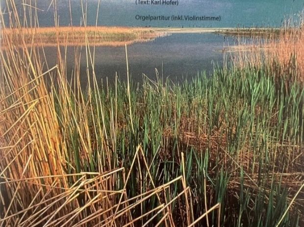Das Bild zeigt das Albumcover von Pannonische Messe. Es zeigt eine friedliche Landschaft mit Wasser und Schilf vor einem blauen Himmel. Der Text ist auf Deutsch.