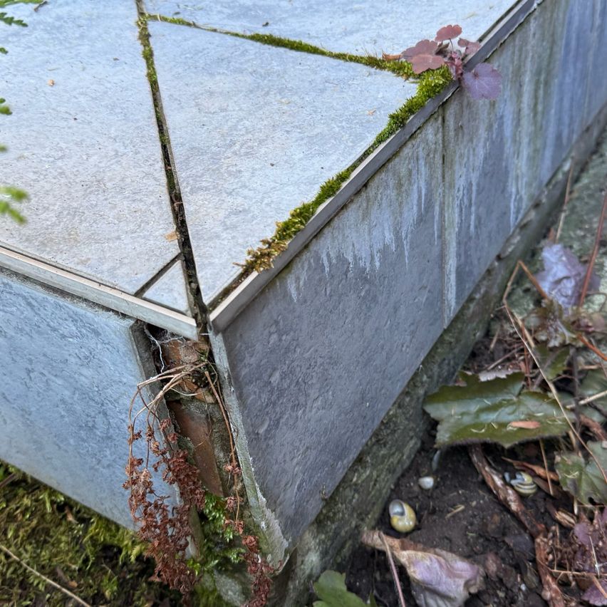 Eine Nahaufnahme eines grauen Betonblocks mit Moos und getrockneten Blättern. Ein Riss ist im Block sichtbar, mit Pflanzen, die darauf wachsen.