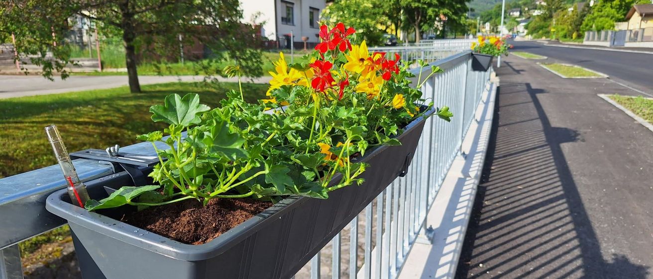 Ein Balkonkasten mit bunten Blumen ist an einem Metallgeländer auf einer Straße befestigt, mit einem Haus im Hintergrund.