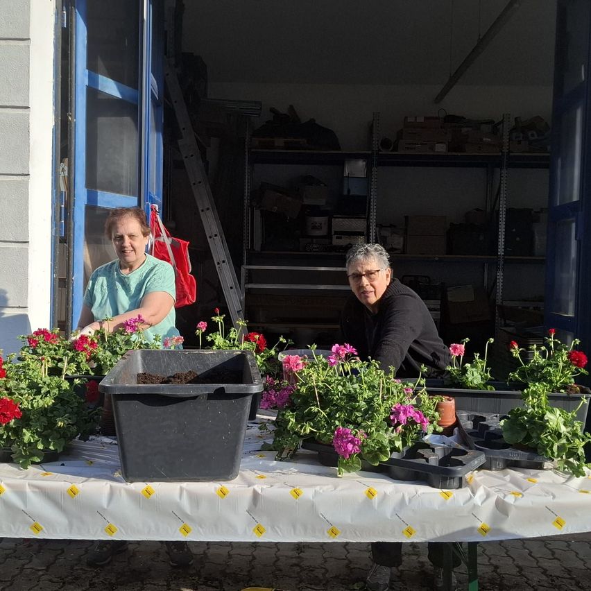 Zwei Frauen arbeiten in einem Gewächshaus, eine pflanzt Blumen in einen großen Behälter, während die andere neben ihr steht. Sie sind von Regalen umgeben, die mit Kisten und anderen Gegenständen gefüllt sind.