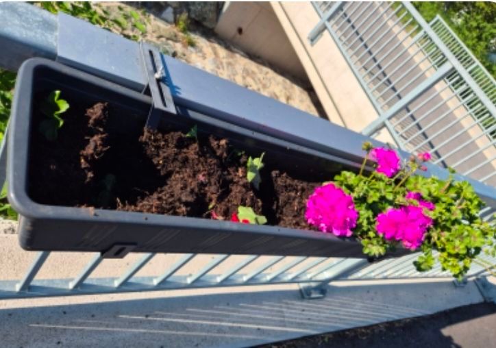 Ein Balkonblumenkasten mit rosa Blumen und Erde ist an einem Metallgeländer befestigt.