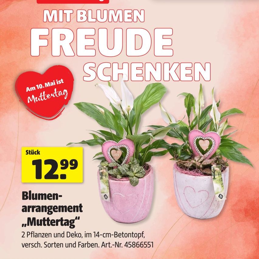 glasbild weiße orchidee Acrylglasbild ♥️ Weiße Orchidee & Zensteine | Hochformat