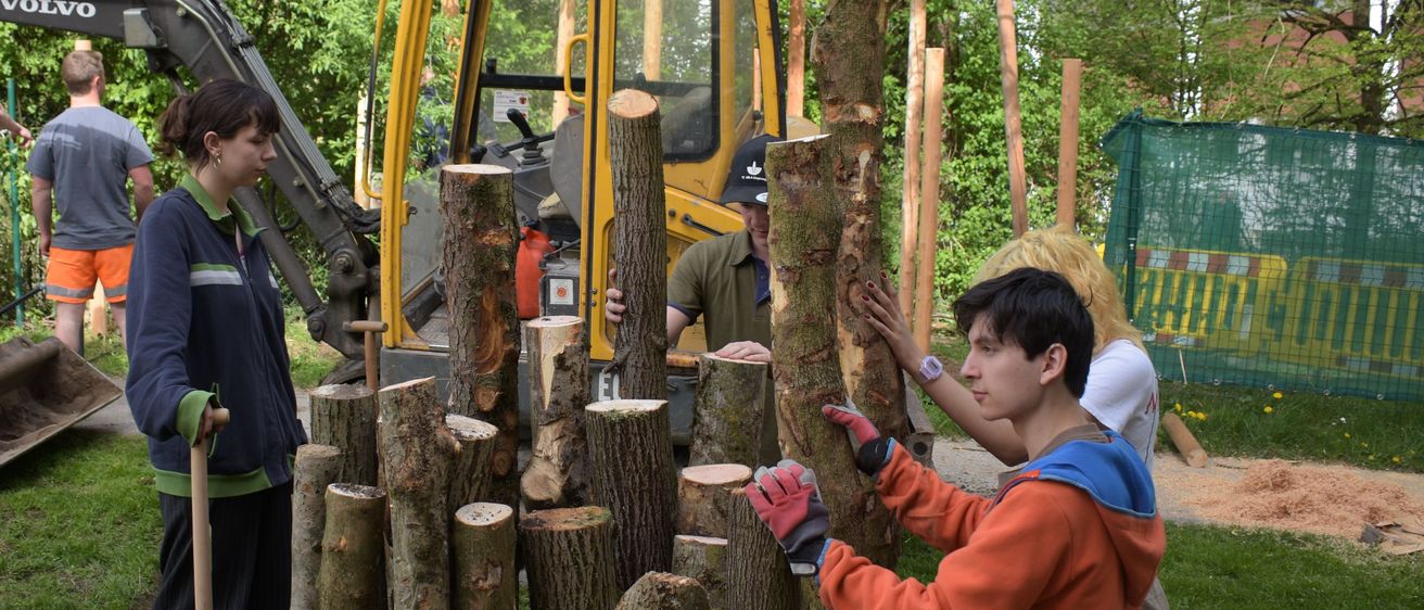 Bild enthält, Glove, Wood, Shoe, Person, Worker, Boy, Child, Male, Helmet, Tree