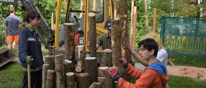 Bild enthält, Glove, Wood, Shoe, Person, Worker, Boy, Child, Male, Helmet, Tree