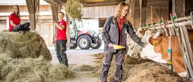 v1_migrated_image_67257747