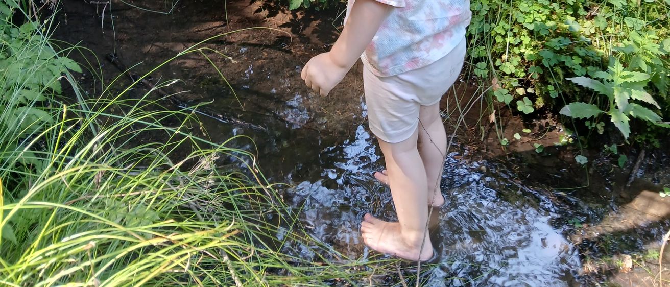 Ein kleines Kind in einem weißen Hut und Blumenshorts watet durch einen flachen Bach in einem üppigen Wald.