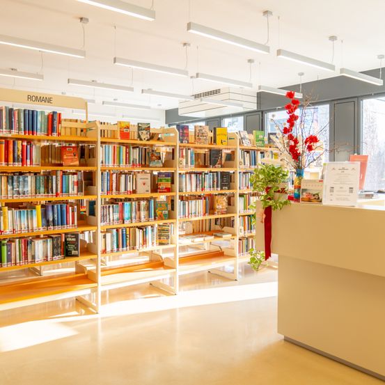 Eine gut beleuchtete Bibliothek mit Regalen voller Bücher. Es gibt dekorative Blumen und Pflanzen auf dem Tresen.