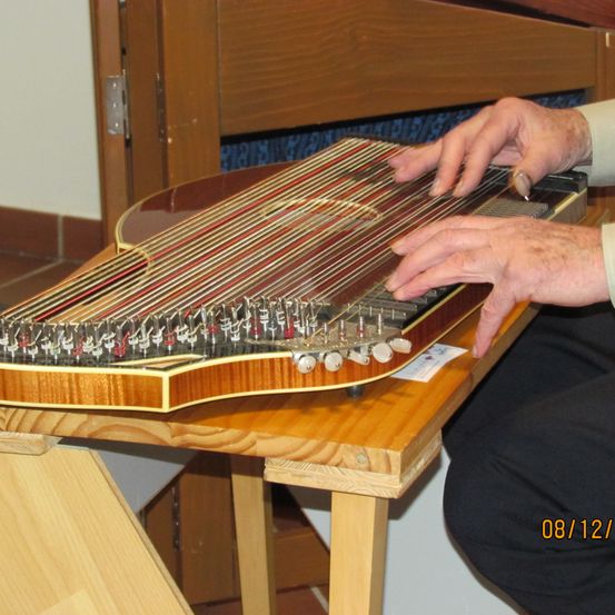 Bild enthält, Wood, Plywood, Adult, Male, Man, Person, Musical Instrument, Piano, Lute, Mandolin