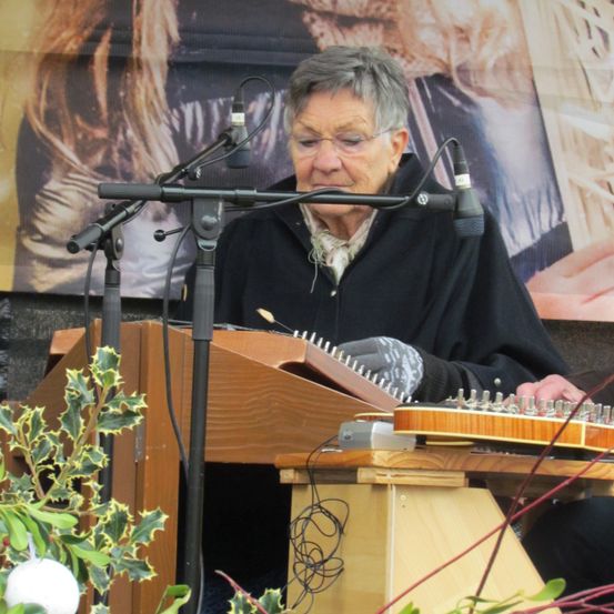 Bild enthält, Microphone, Adult, Female, Person, Woman, Wood, Face, Plywood, Concert, Musical Instrument