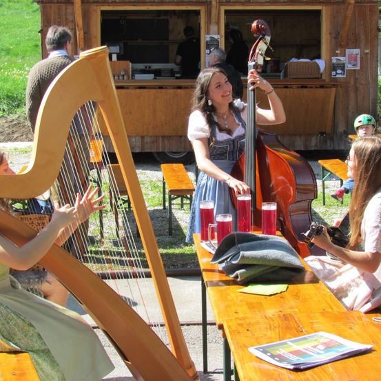 Zwei Frauen spielen Harfe und Cello an einem sonnigen Tag auf einem Festival. Ein Mann beobachtet im Hintergrund, und ein Kind sitzt in der Nähe.