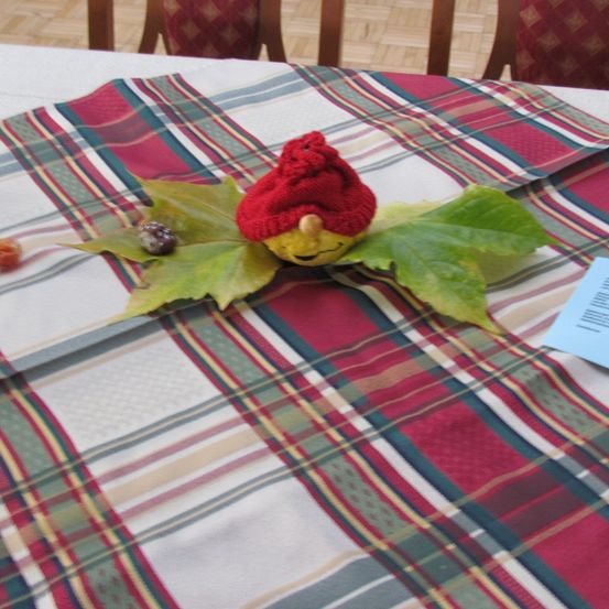 Ein kleiner Kürbis sitzt auf einem Blatt, trägt eine rote gestrickte Mütze, auf einem karierten Tischtuch. Stühle und ein Holzboden sind im Hintergrund.