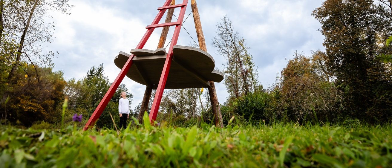 Bild enthält, Grass, Plant, Play Area, Outdoor Play Area, Outdoors, Person, Nature, Park