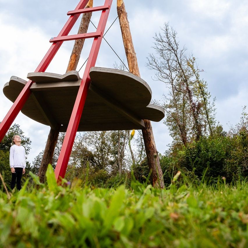 Bild enthält, Grass, Plant, Play Area, Outdoor Play Area, Outdoors, Person, Nature, Park