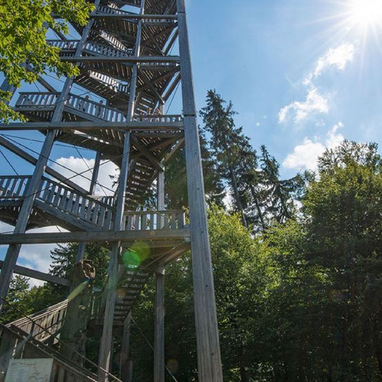 Bild enthält, House, Housing, Staircase, Vegetation, Tree, Flare, Outdoors, Woodland, Person, City