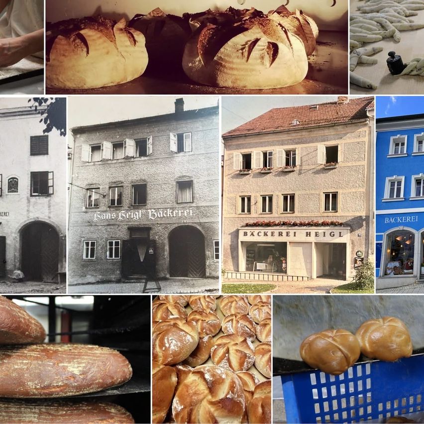 Eine Collage von Bildern, die verschiedene Stadien der Brotproduktion zeigen, einschließlich Laibe im Ofen, geformter Teig und Schaufenster von Bäckereien.