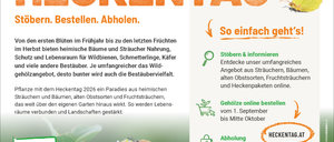 Plakat für den Heckentag 2026, zeigt eine Biene auf einer Blume und bewirbt heimische Bäume und Sträucher für Wildtiere, mit Online-Bestellung, Abholung und Lieferterminen.