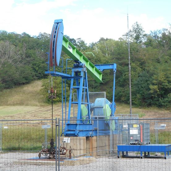 Eine blaue Ölpumpe steht in einem offenen Bereich mit einem Metallzaun. Dahinter befindet sich ein Grashügel mit Bäumen. In der Ferne ist ein hoher Metallmast zu sehen.