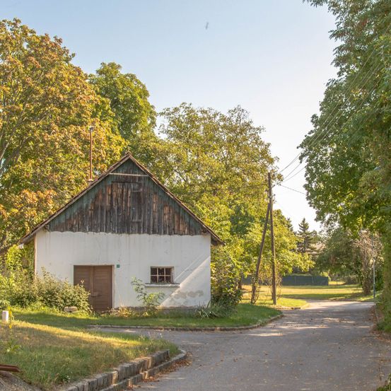 Ein altes Holzhaus mit einer braunen Tür und einem Fenster steht auf einem Rasen. Das Haus ist von Bäumen und Büschen umgeben. Die Straße, die zum Haus führt, ist leer.