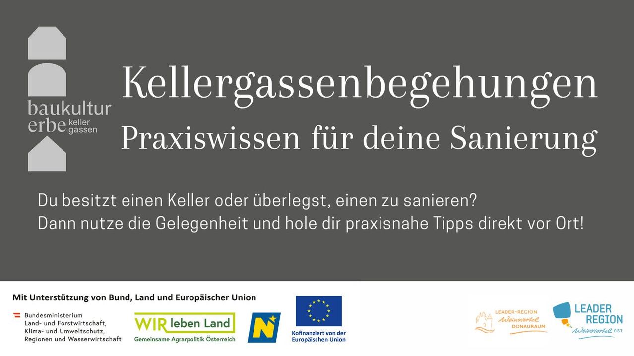Poster mit grauem Hintergrund, das Text über Kellergasmanagement und praktisches Wissen zur Sanierung enthält. Logos der Europäischen Union, Wir leben Land und N sind abgebildet.