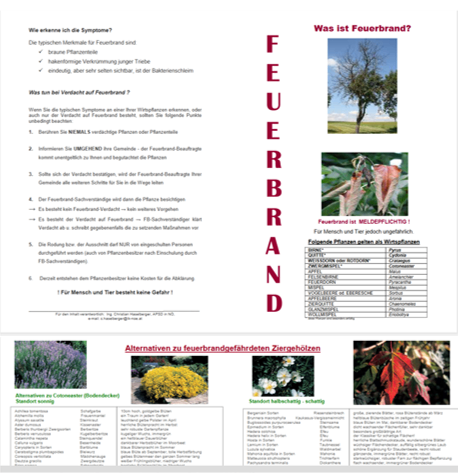 Das Bild zeigt eine Seite aus einem Handbuch über Feuerbrandkrankheit bei Bäumen. Es enthält eine Liste der Symptome, eine Erklärung des Feuerbrands und eine Liste alternativer Baumarten. Es gibt auch Bilder von betroffenen Bäumen und Blättern.