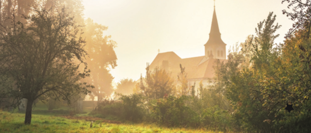 Building, Spire, Nature, Outdoors, Weather, Fog, Mist, Grass, Scenery, Sunlight