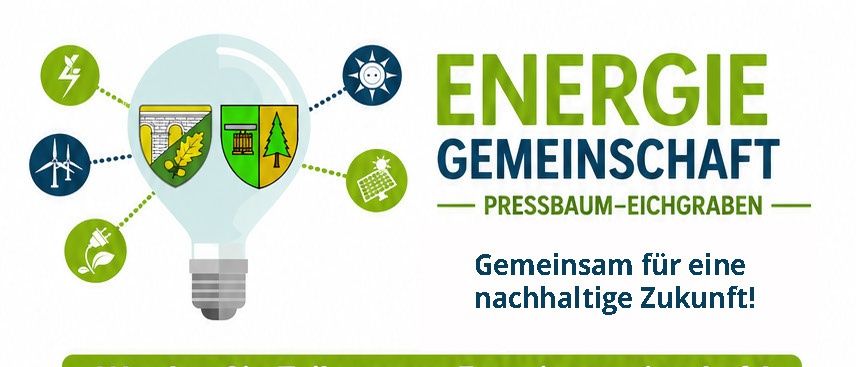 Infografik, die die Vorteile der Energieteilnahme aufschlüsselt, einschließlich 100% erneuerbarer Energie, erhebliche Kosteneinsparungen, geringes Risiko und Transparenz. Es hebt attraktive Tarife, stabile Preise und die Berechtigung für alle Haushalte und Unternehmen hervor. Enthält eine Mitgliedsgebühr und eine jährliche Gebühr.