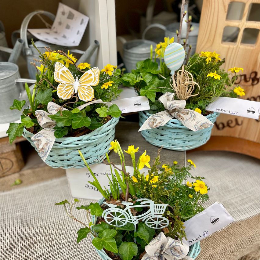 Drei hellblaue Körbe mit verschiedenen Blumen und Grünpflanzen, jeweils mit dekorativen Elementen wie einem Schmetterling, einem Luftballon und einem Fahrrad.