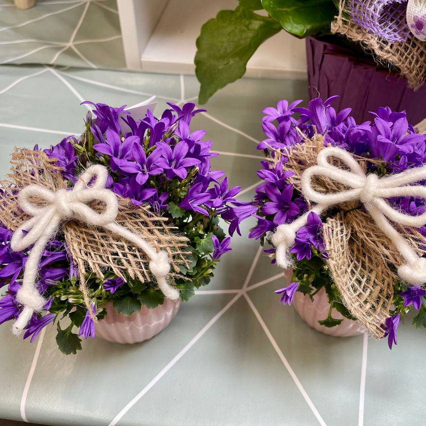 Zwei Vasen mit lila Blumen und Jutebändern stehen auf einer blauen Fliesenfläche, umgeben von Grün.