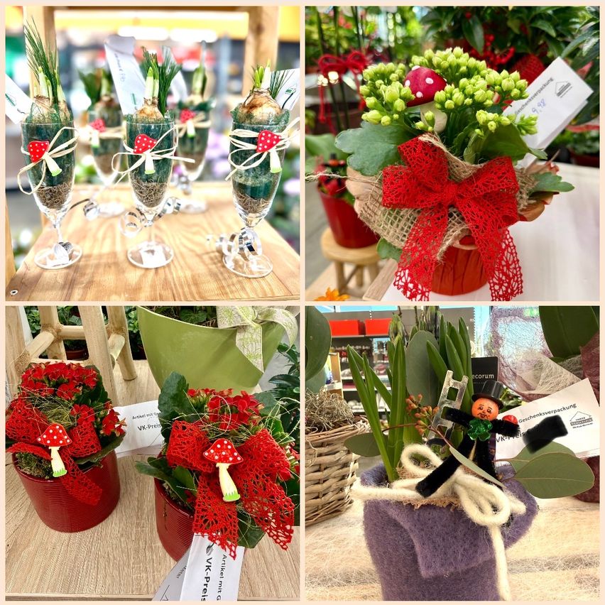 Ein Collage von vier Bildern zeigt Topfpflanzen. Ein Bild hat rote Blumen und Pilze, ein anderes hat grüne Blumen und ein rotes Band. Die anderen haben einzigartige Dekorationen wie eine kleine Figur und ein rotes Band. Jedes Bild hat ein Etikett mit Text.