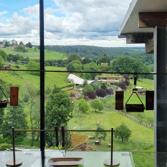 Nature, Outdoors, Scenery, Indoors, Interior Design, Architecture, Balcony, Building