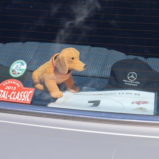 Ein Hundespielzeug sitzt im Autofenster neben einer Mütze mit Mercedes-Benz-Logo. Ein roter Schild steht Grobming 2013. Ein Papier liest Herstausfahrt 11.09.22.