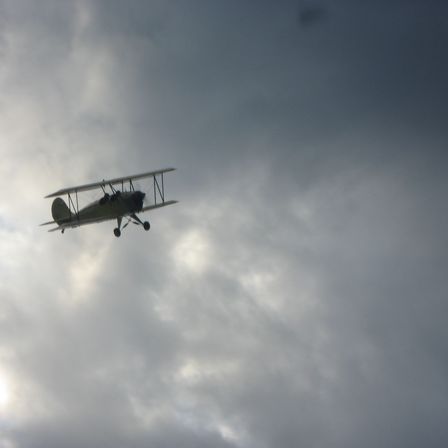 Bild enthält, Animal, Bird, Flying, Aircraft, Airplane, Transportation, Vehicle, Biplane, Flight