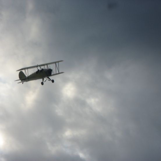 Bild enthält, Animal, Bird, Flying, Aircraft, Airplane, Transportation, Vehicle, Biplane, Flight