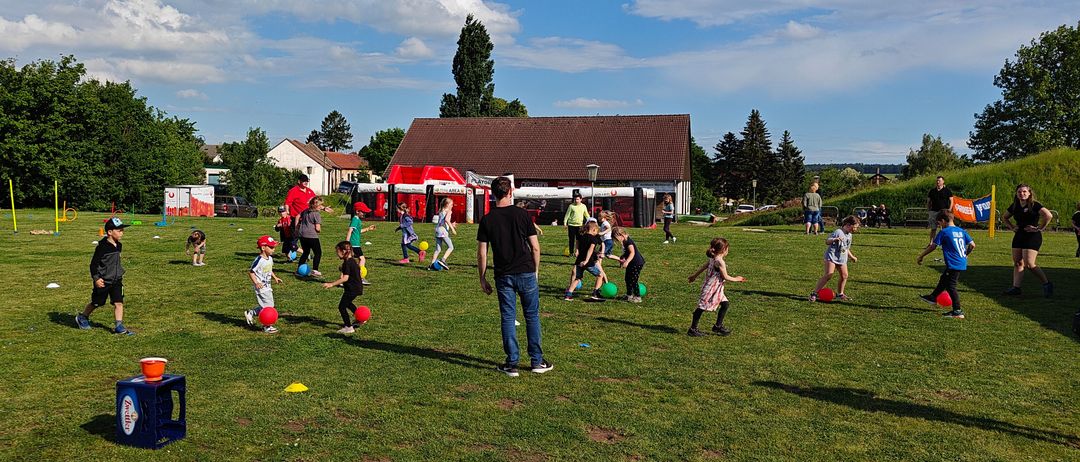 Grass, People, Person, Lawn, Outdoors, Park, Soccer Ball, Play Area, Walking, Car