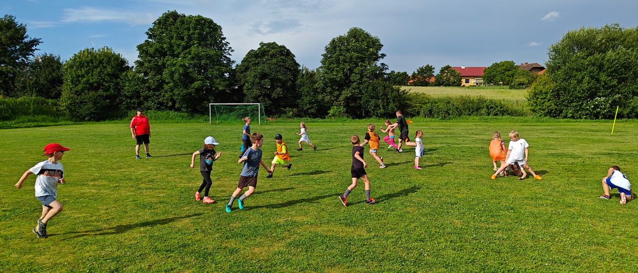 People, Person, Grass, Plant, Field, Grassland, Nature, Outdoors, Clothing, Shorts
