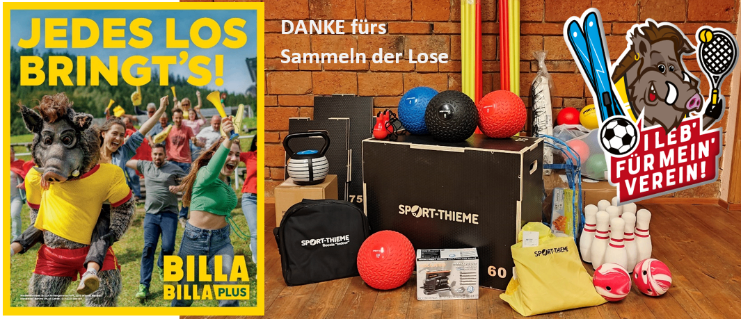 Eine Collage mit Sportgeräten und Menschen zeigt eine schwarze Box mit der Aufschrift 'Sport-Theme', verschiedene Bälle, eine Bowlingkegel und eine Ziegelwand.