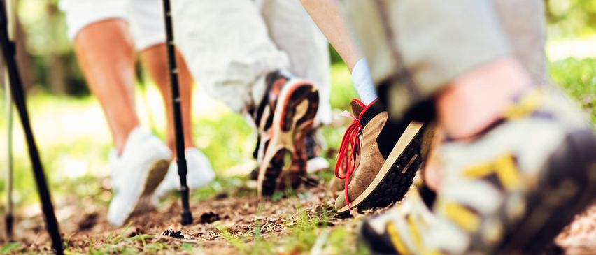 Several people are hiking, wearing sneakers, and holding trekking poles. They walk on a dirt path, surrounded by grass.