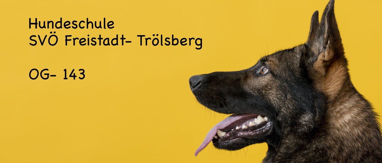 Bild enthält, Animal, Canine, Dog, Mammal, Pet, German Shepherd