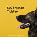 Hundeschule Freistadt - Trölsberg - OG 143-Logo