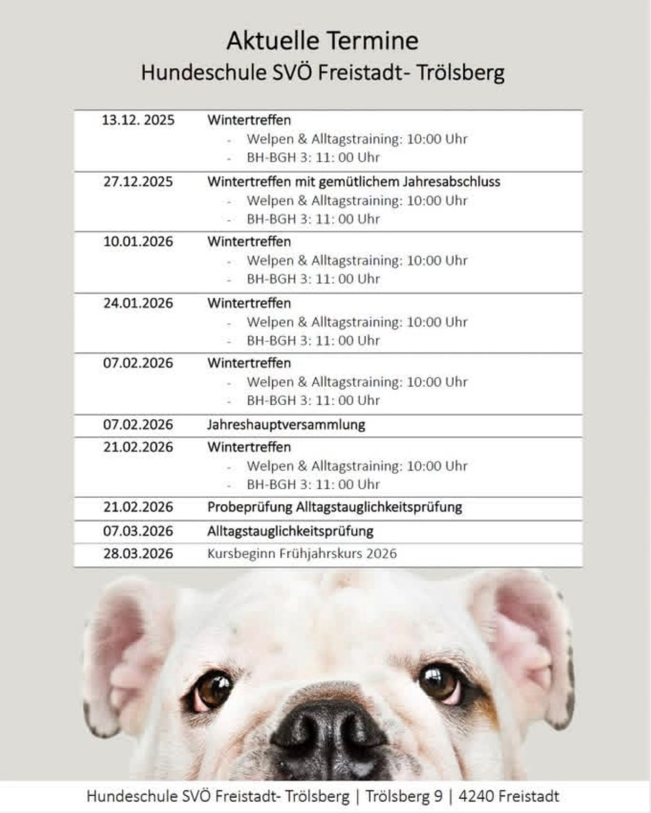 Bild eines Hundes mit einem Zeitplan von Veranstaltungen, einschließlich Welpentraining und Basistrainingssitzungen an verschiedenen Terminen.