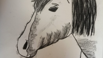 Volksschule Leithaprodersdorf-Logo