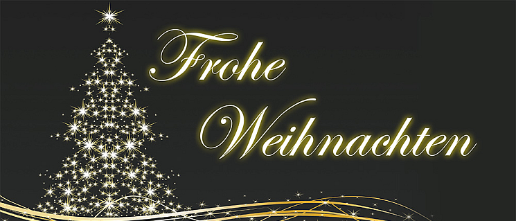 Bild enthält, Christmas, Christmas Decorations, Festival, Christmas Tree, Bridge