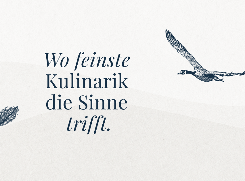 Bild enthält, Animal, Bird, Flying, Boat, Transportation, Vehicle, Waterfowl, Sailboat