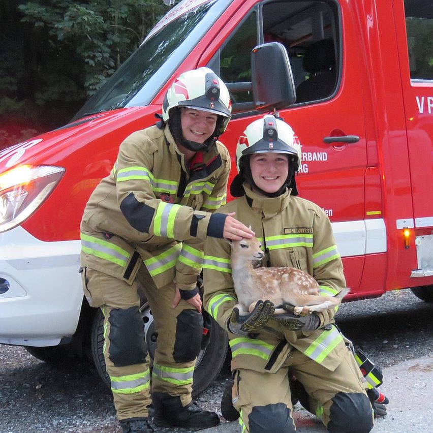 Zwei Feuerwehrleute in voller Uniform stehen neben einem roten Feuerwehrwagen, einer hält ein kleines Reh.