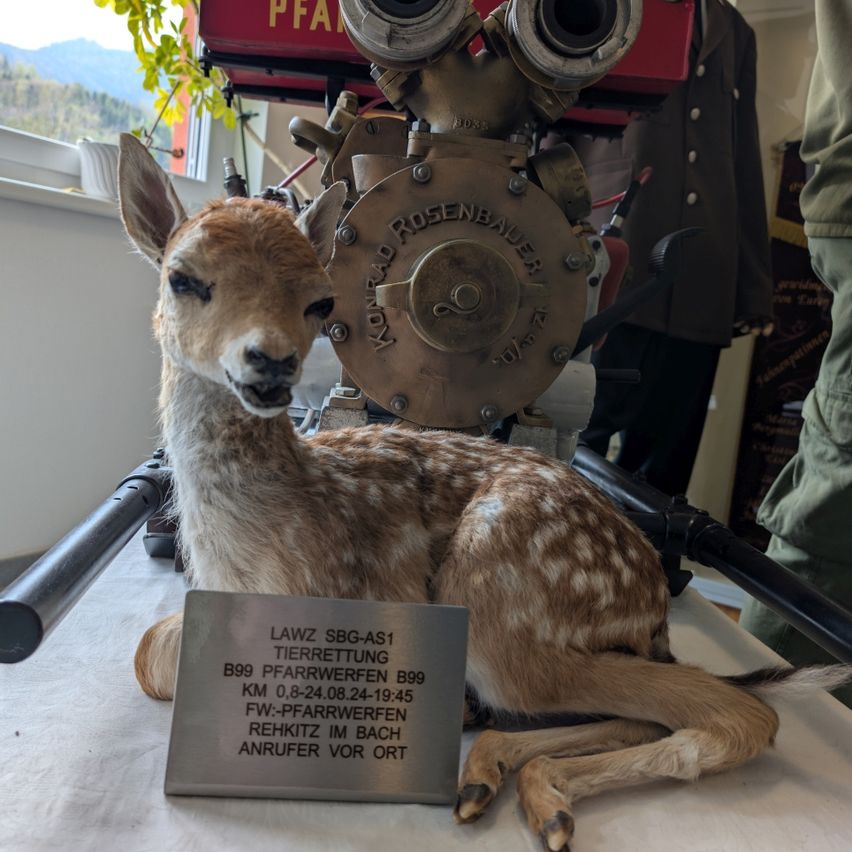 Ein Reh steht neben einem alten Feuerlöscher mit einer Metallplatte. Das Reh hat braune Flecken, und das Schild auf der Platte sagt LAWZ SBG-AS1. Der Feuerlöscher hat einen roten und messingfarbenen Körper.