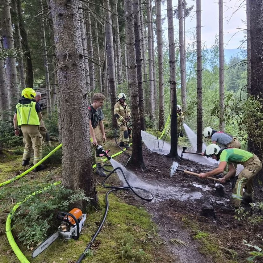 Eine Gruppe von Feuerwehrleuten in Schutzausrüstung arbeitet in einem Wald und verwendet Werkzeuge und Wasserschläuche, um ein Feuer zu löschen.