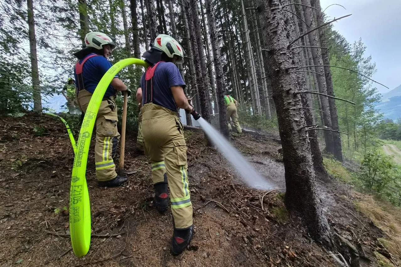 Feuerwehrleute in voller Ausrüstung verwenden einen Schlauch, um ein Feuer im Wald zu löschen. Ein Feuerwehrmann sprüht Wasser, während ein anderer den Schlauch hält.