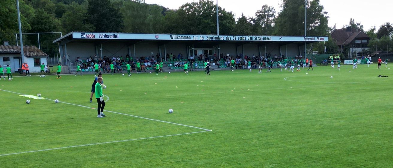 Bild enthält, Field, Football, Soccer Ball, Person, People, Shoe, Grass, Bird
